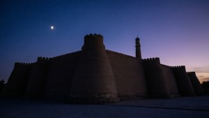 Twilight at the Ark