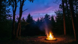 Twilight Campfire in Vernon Forest