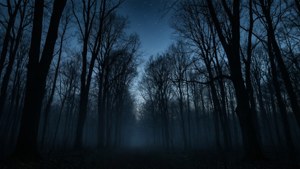 Twilight Grove