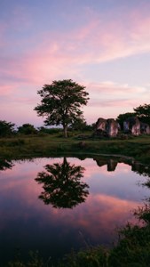 Twilight Island