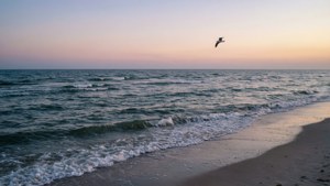 Twilight Ocean Serenity