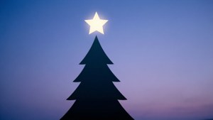 Twilight Star Silhouette