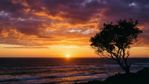 Twilight Transience