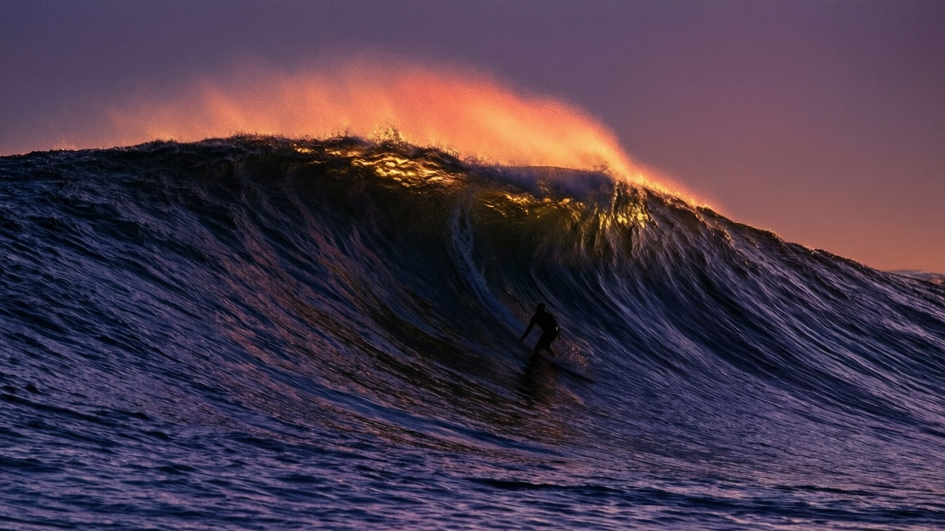 Twilight Wave Surfer by Wallpapers.art Studio