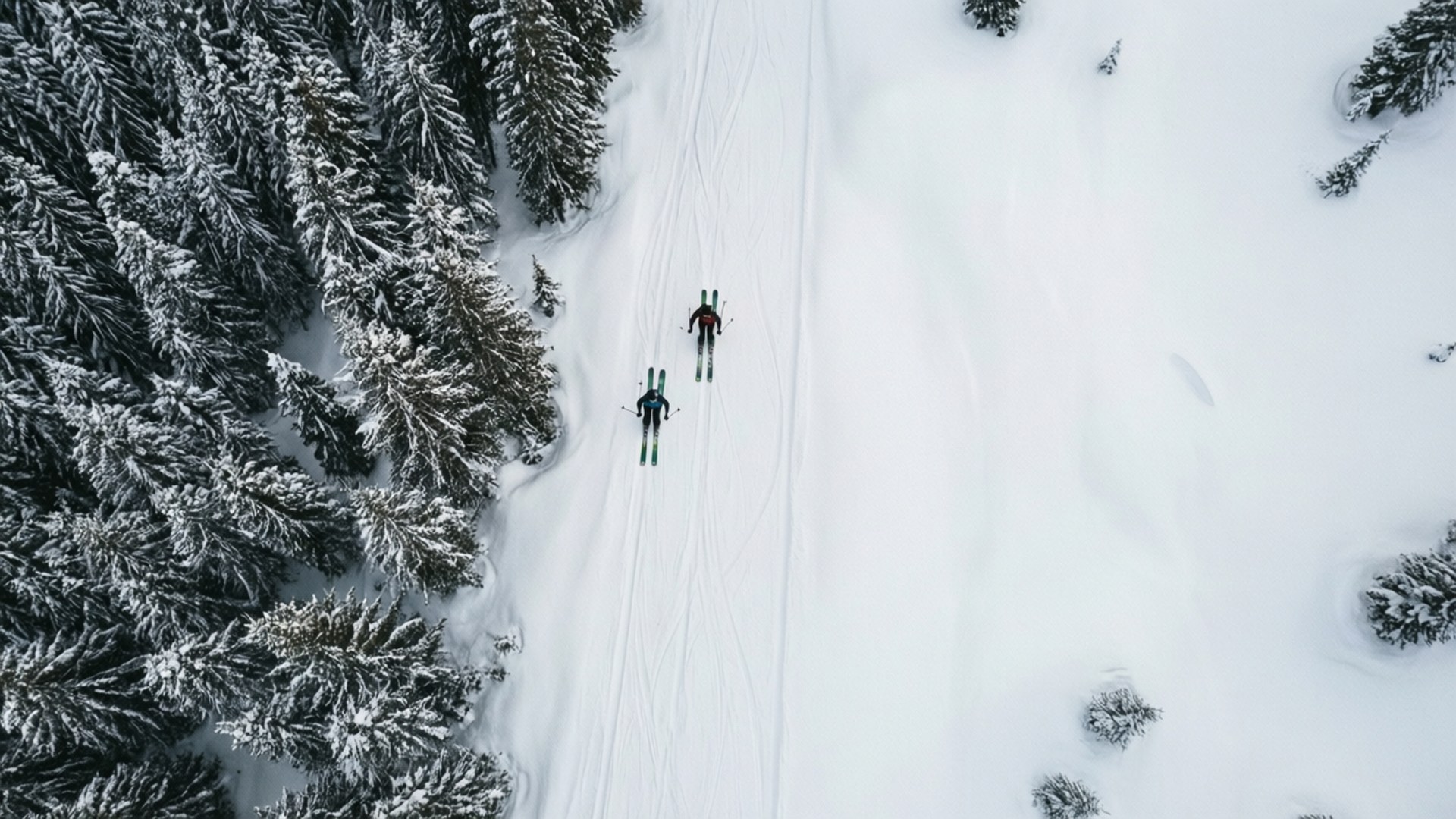 Twin Tracks by Wallpapers.art Studio