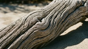Twisted Grain Close-Up