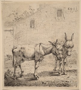 Two Asses