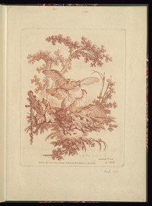 Two Birds and a Bird’s Nest in a Landscape