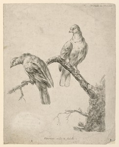 Two Birds on a Branch