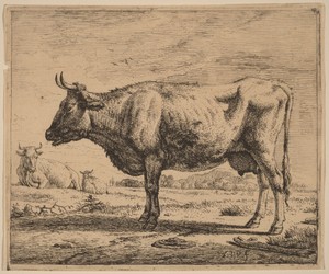 Two Cows and a Sheep