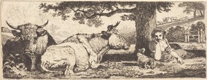 Two Cows and a Woman Lying Down