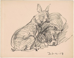 Two Dogs