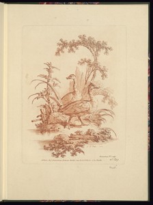 Two Ducks in a Landscape