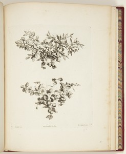 Two Floral Tailpieces or Fleurons