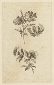 Two Flower Sprigs