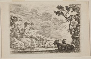 Two Goats Lying Down