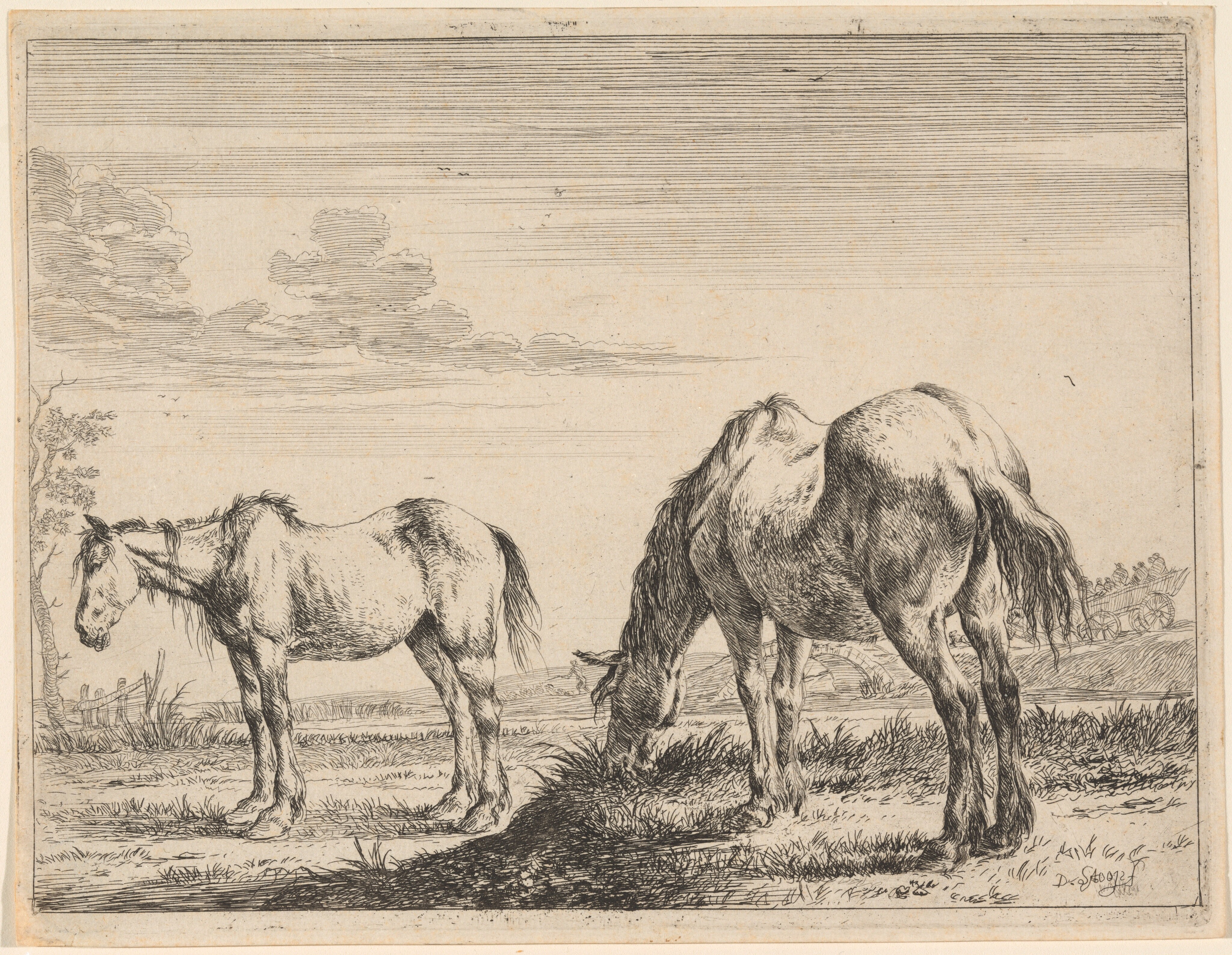 Two Grazing Horses by Dirk Stoop
