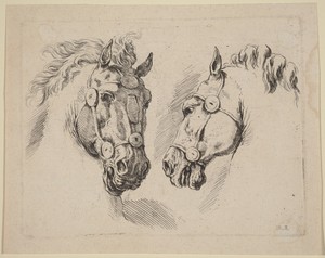 Two Horse Heads