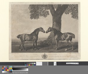 Two Hunters Belonging to Henry U. Reay of Burn Hall in the County of Durham...
