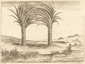 Two Palm Trees