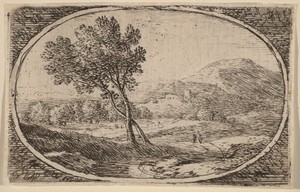 Two Trees with Crossed Trunks