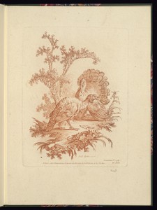 Two Turkeys in a Landscape