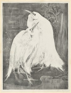 Two White Egrets