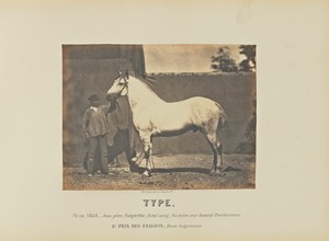 Type