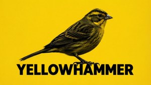 Typographic Bird