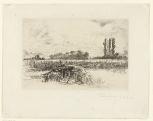 Uiterwaard