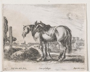 Uitgespannen paard