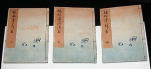 Umegonomi neya no utsuriga (Lingering plum scent in the sleeping chamber)(0017-0019)