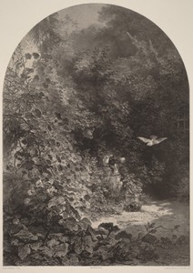Un Coin de Jardin
