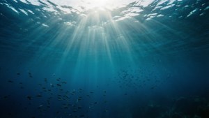 Under Atlantic Surface