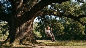 Under the Oak