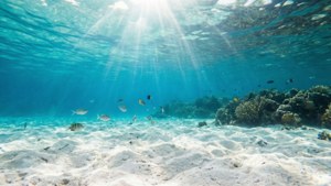 Underwater Beach View