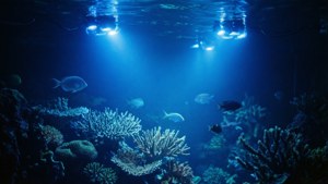 Underwater LED Glow