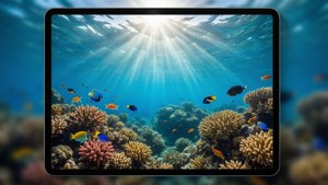 Underwater Reef