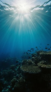Underwater Sun Rays