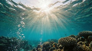 Underwater Sunray Flare