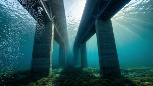 Underwater View