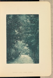Upper Lake Road, Kandy