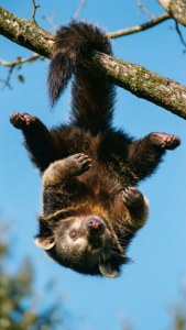 Upside Down
