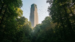 Urban Forest