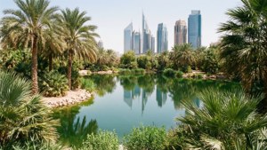 Urban Oasis Riyadh