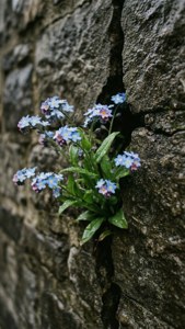 Urban Resilience