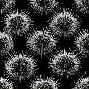 Urchin Spine Abstract