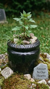 Urn with Living Plant