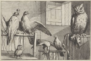 Valken en uilen in een schuur