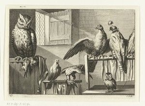 Valken en uilen in een schuur
